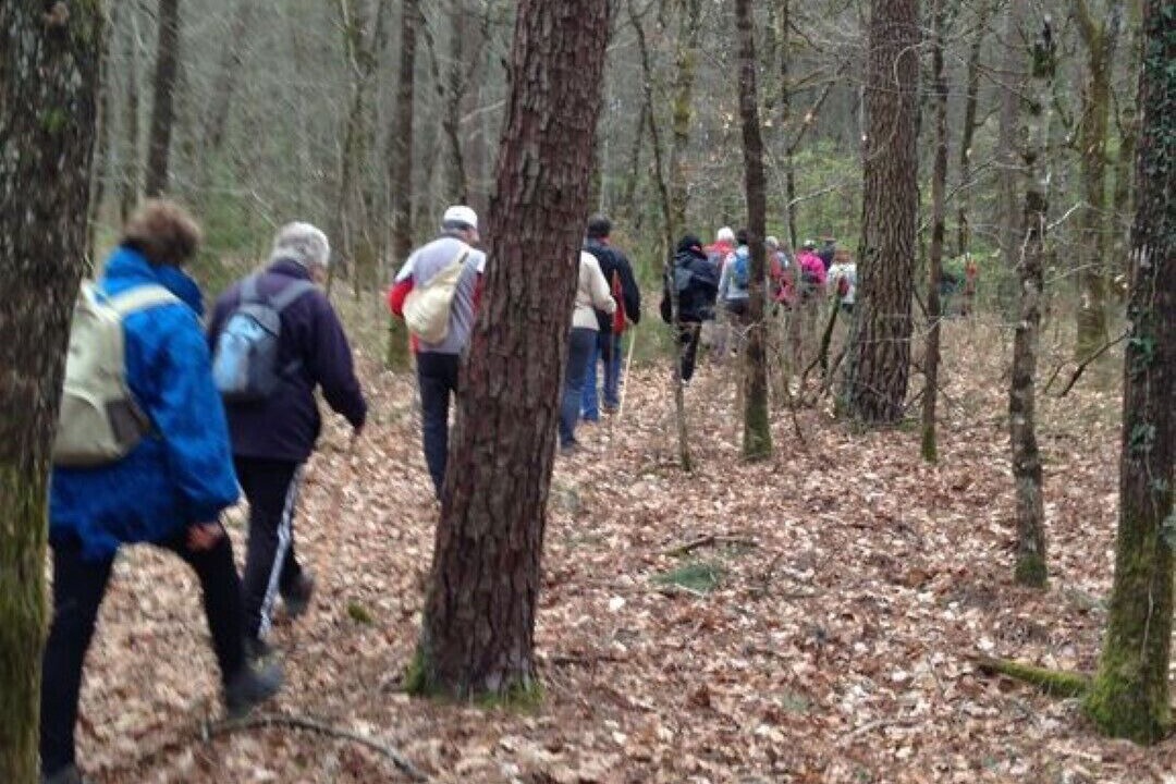 Photo of Others in Cours-de-Pile