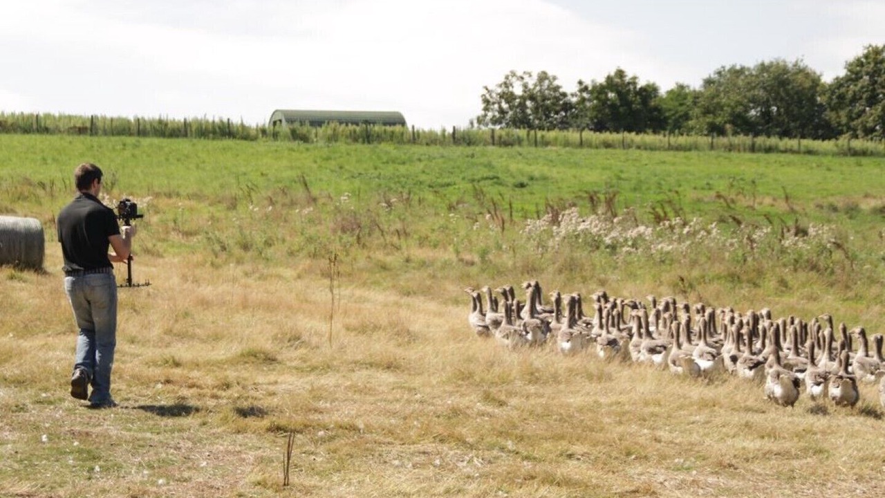 Photo of Others in Cours-de-Pile