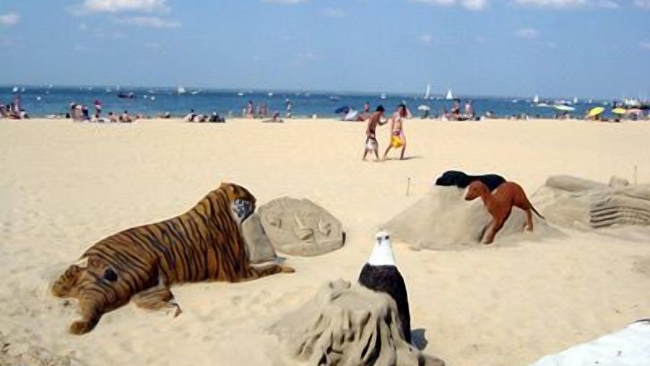 Photo of Others in Arcachon