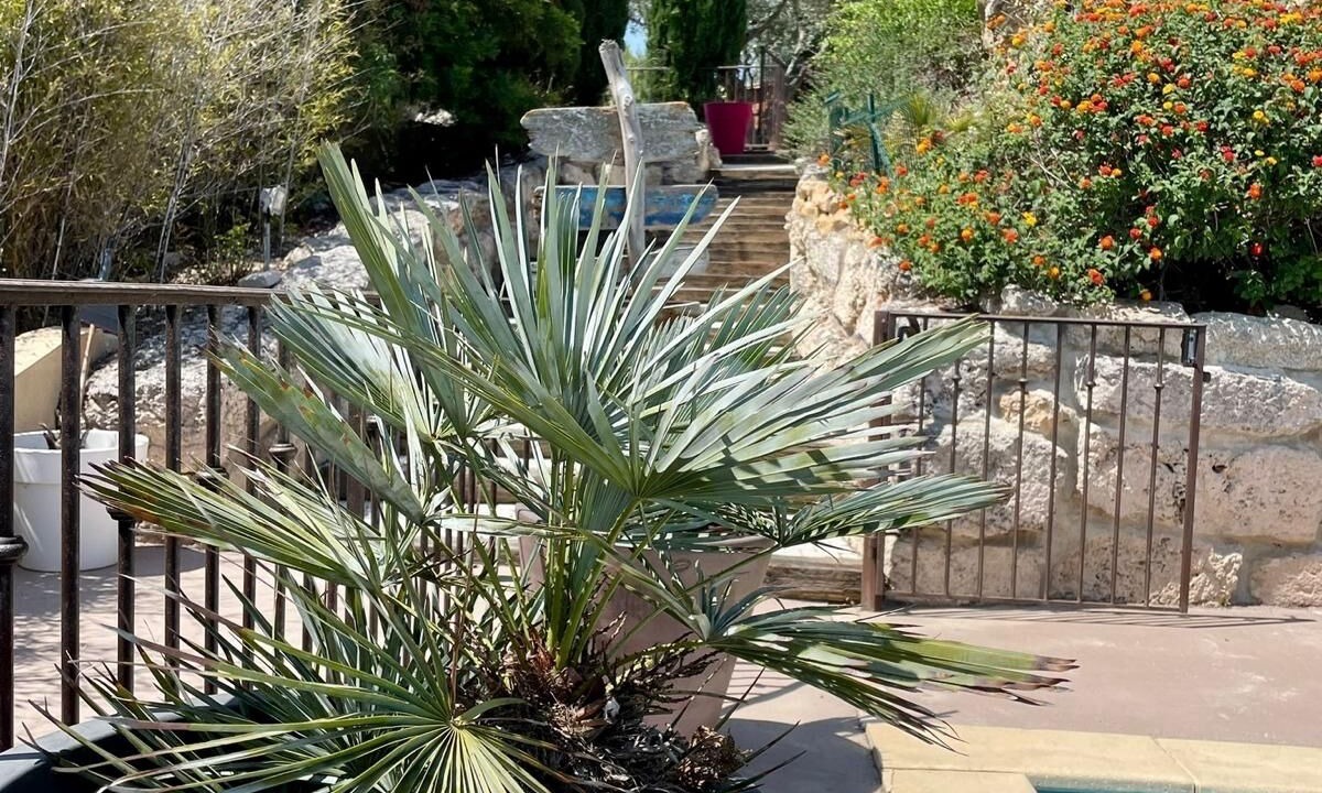 Photo of Outdoor in Martigues