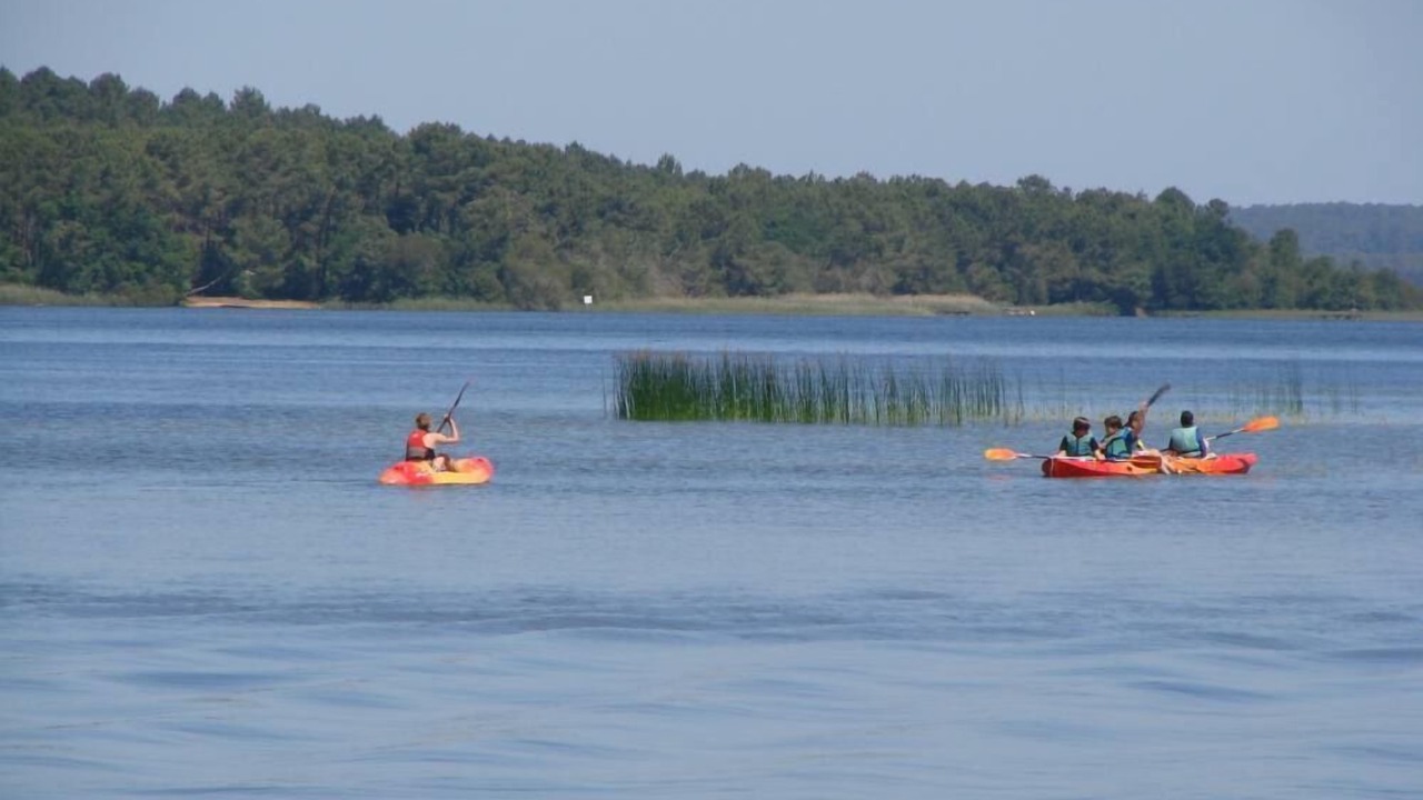 Photo of Outdoor in Saint-Paul-en-Born