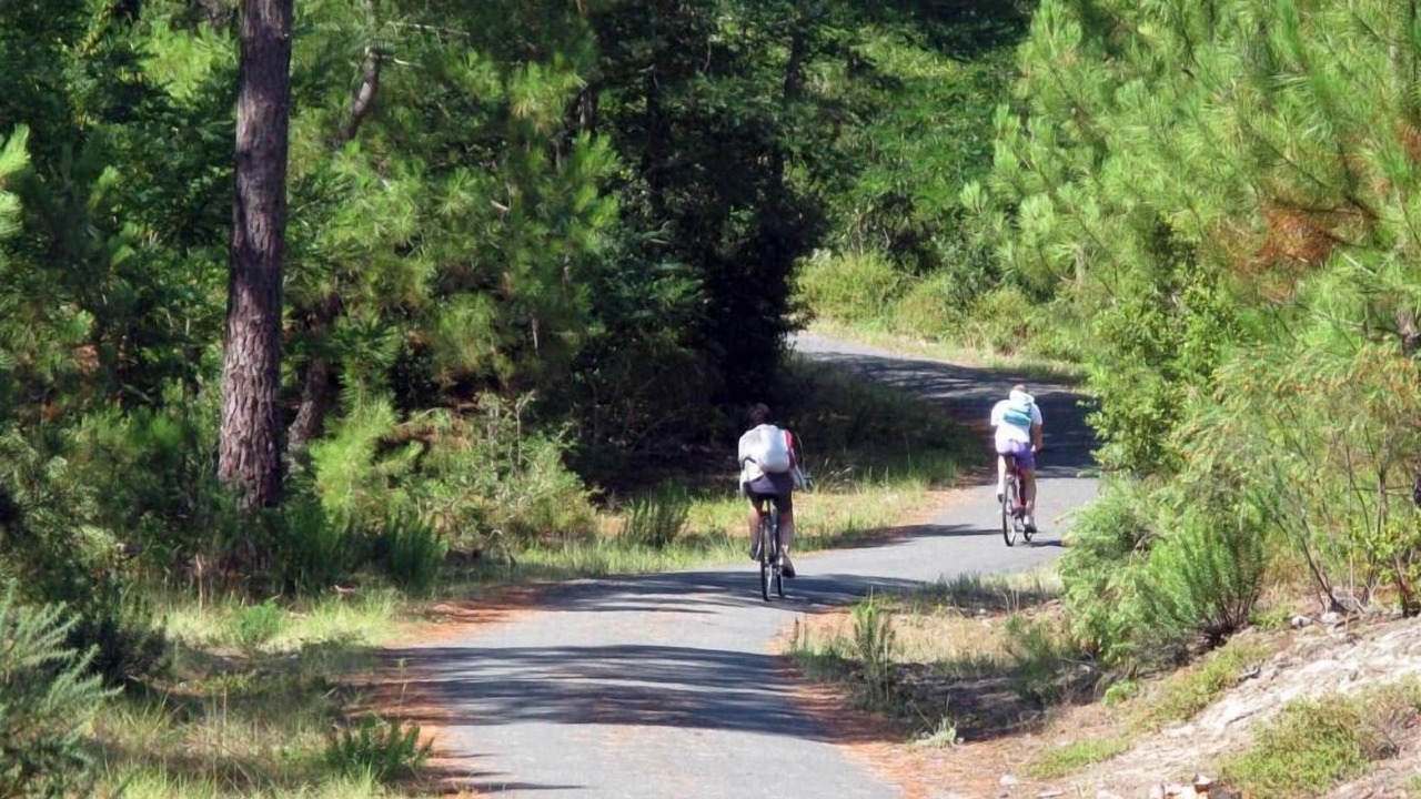 Photo of Others in Saint-Paul-en-Born