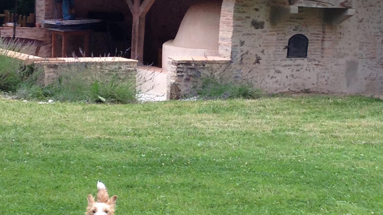 Photo of Outdoor in Arjuzanx