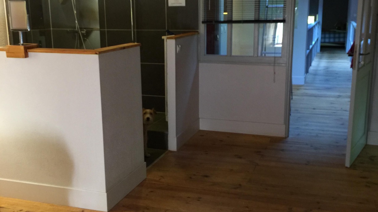 Photo of Bathroom in Arjuzanx