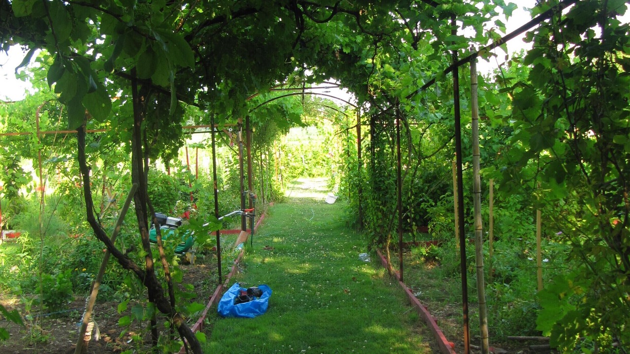Photo of Outdoor in Champagne-et-Fontaine