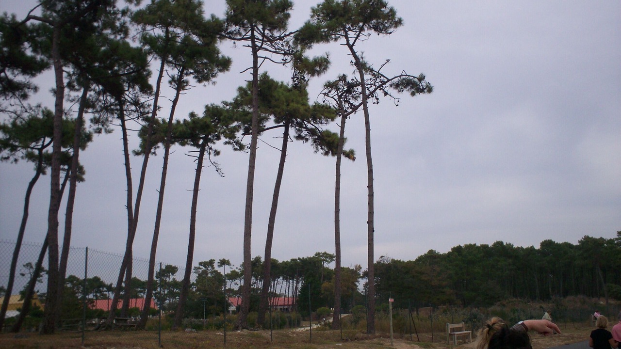 Photo of Others in Les Mathes