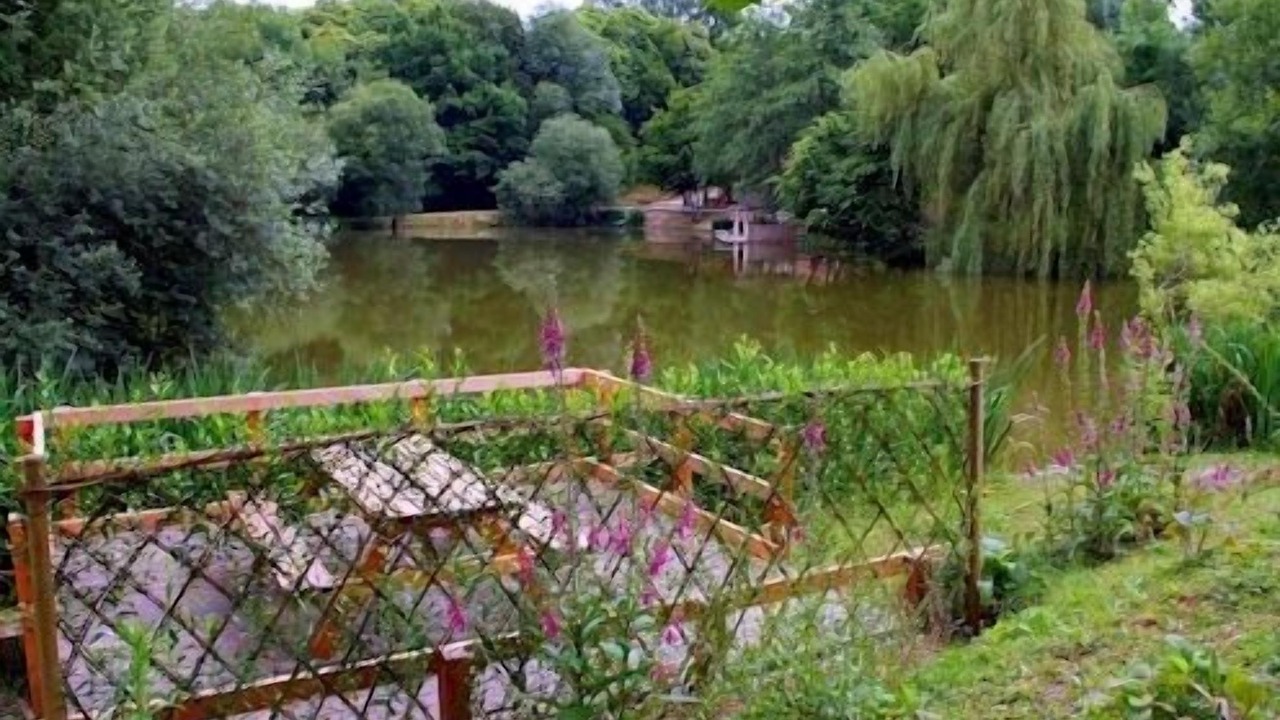 Photo of Outdoor in Scille