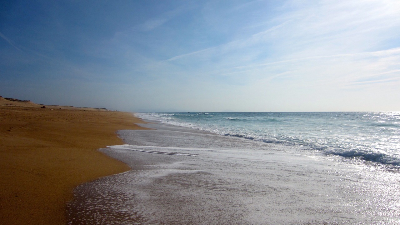 Photo of Others in Labenne-Ocean