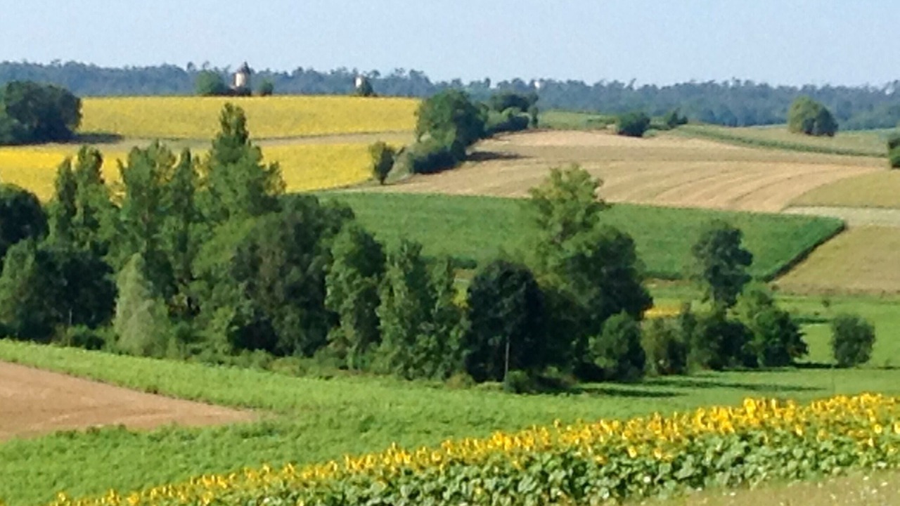 Photo of Others in Bessac