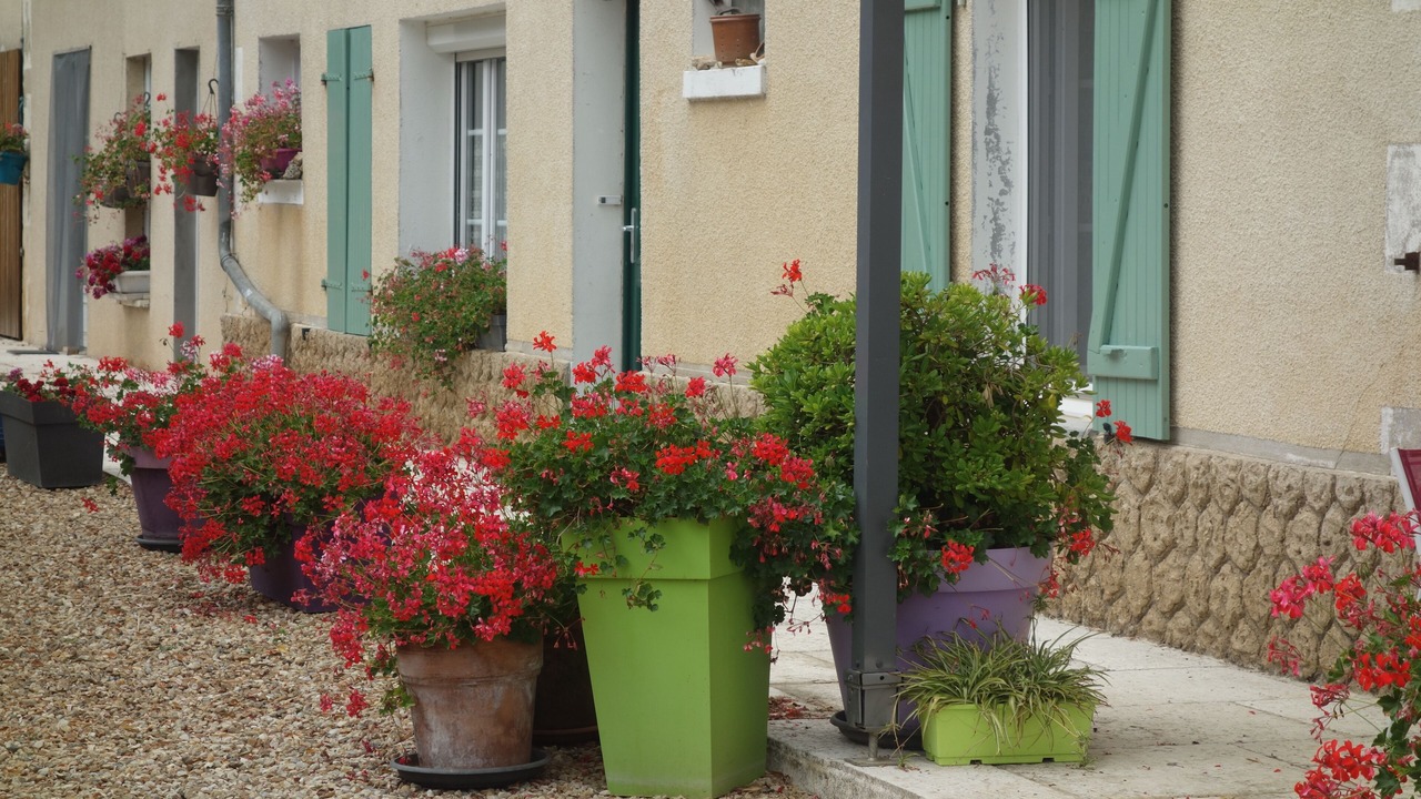 Photo of Outdoor in Rouille
