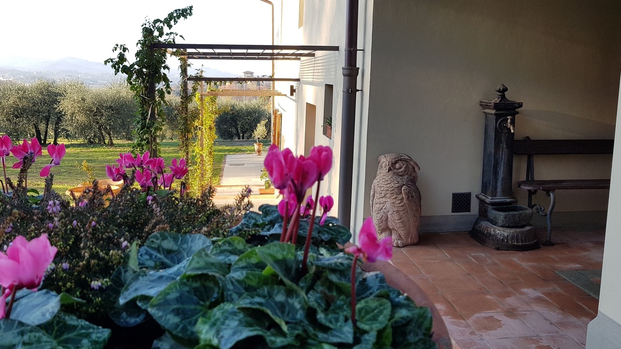Photo of Outdoor in Signa