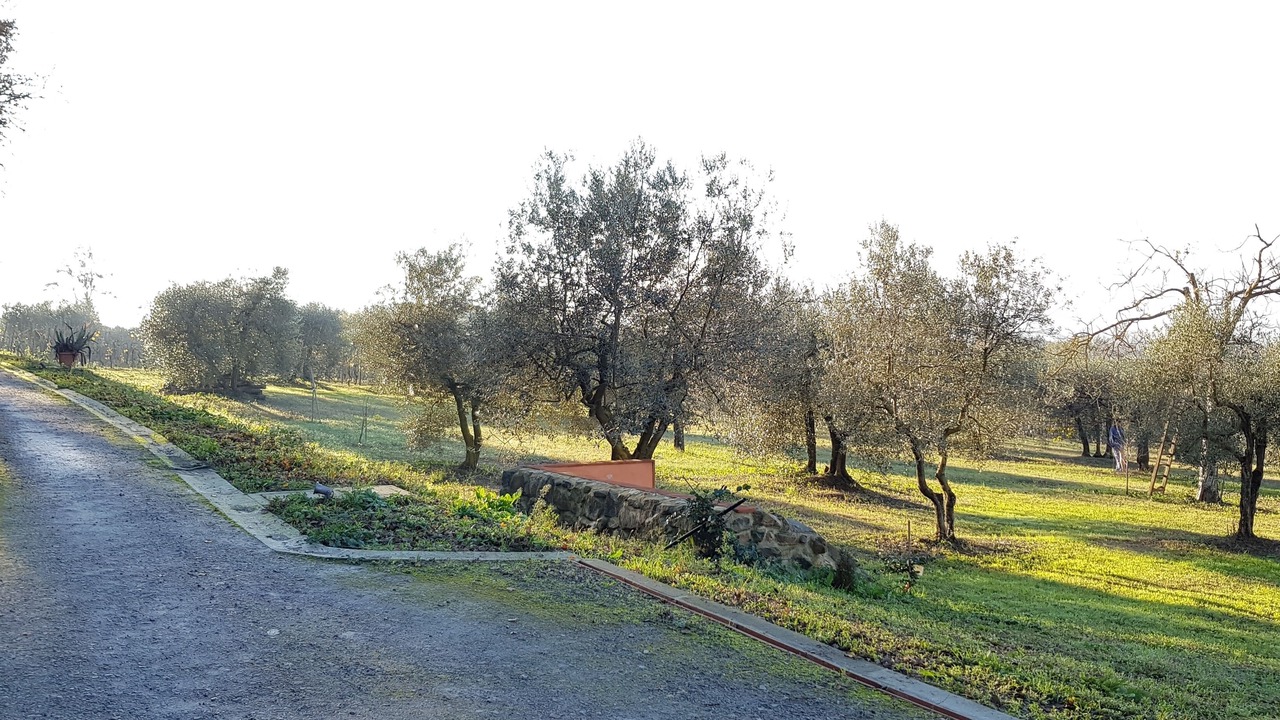 Photo of Outdoor in Signa