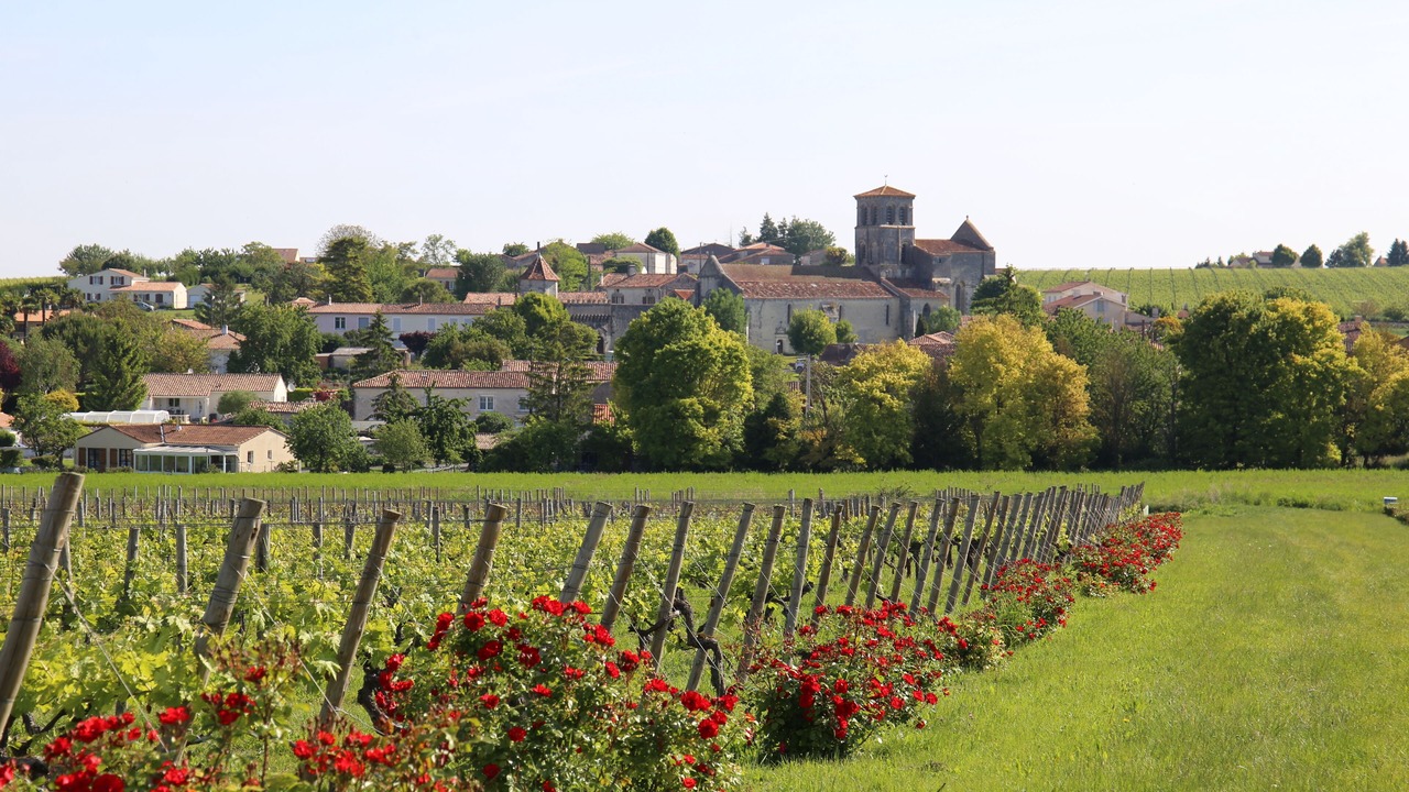 Photo of Outdoor in Juillac-le-Coq