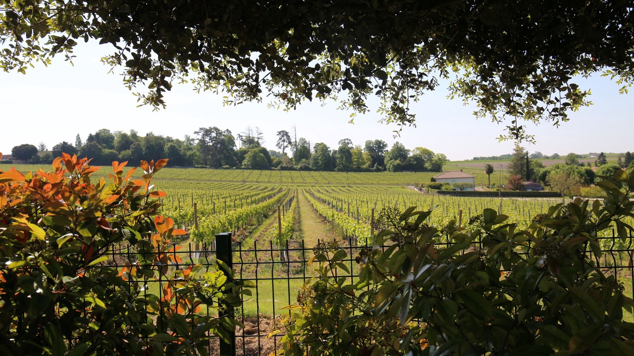 Photo of Outdoor in Juillac-le-Coq