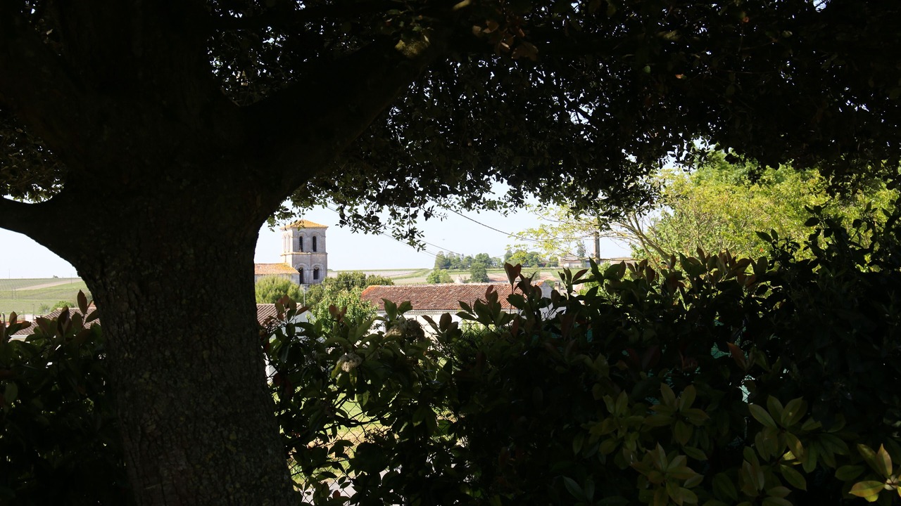 Photo of Outdoor in Juillac-le-Coq