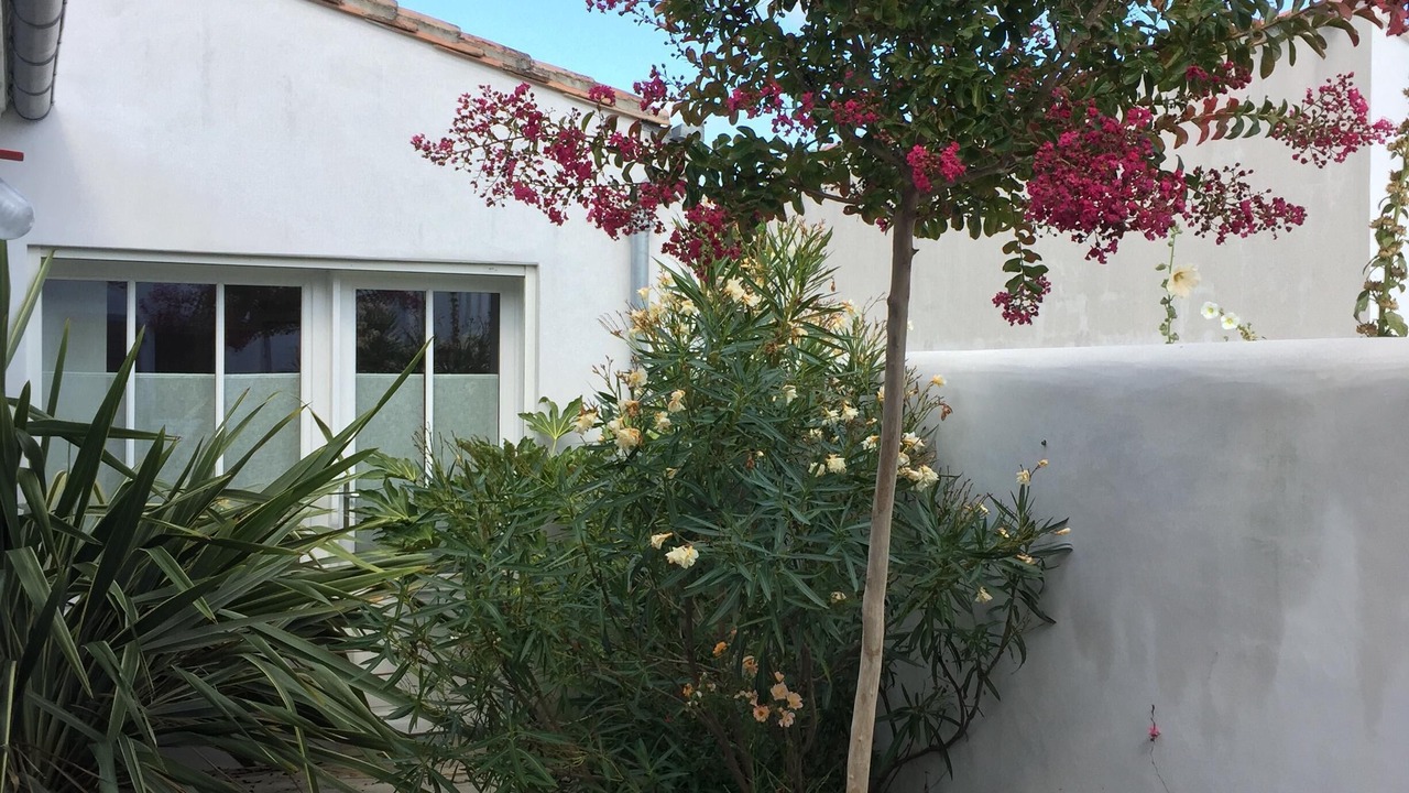 Photo of Outdoor in La Couarde-sur-Mer