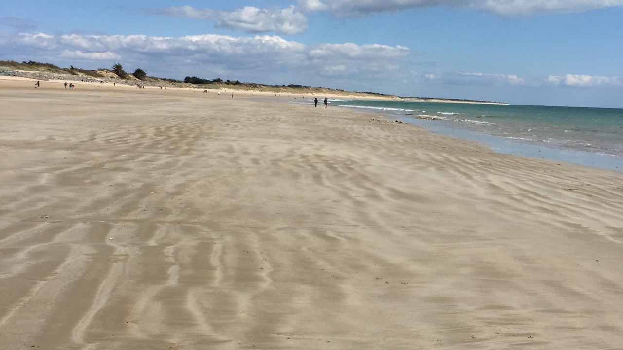 Photo of Others in La Couarde-sur-Mer