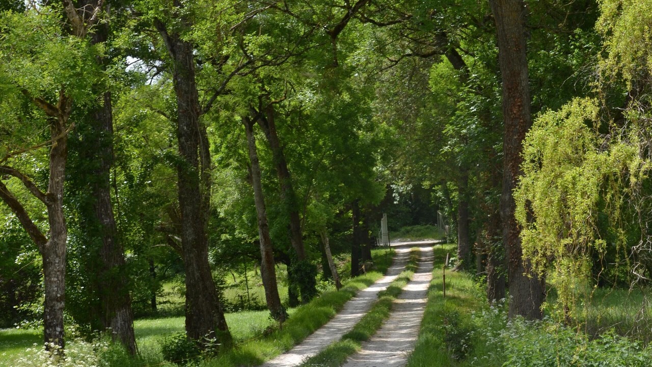 Photo of Outdoor in Plaisance