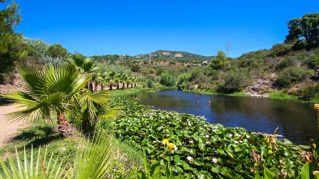 Photo of Outdoor in Bormes-Les-Mimosas