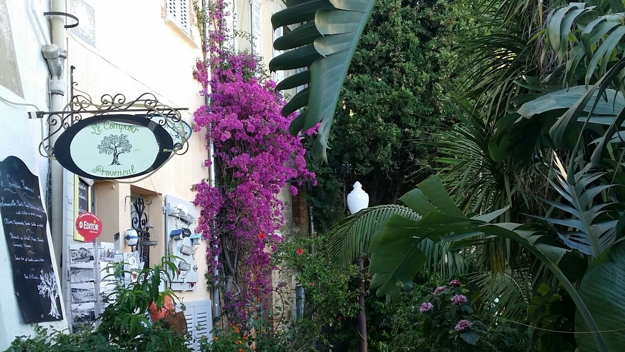 Photo of Outdoor in Bormes-Les-Mimosas