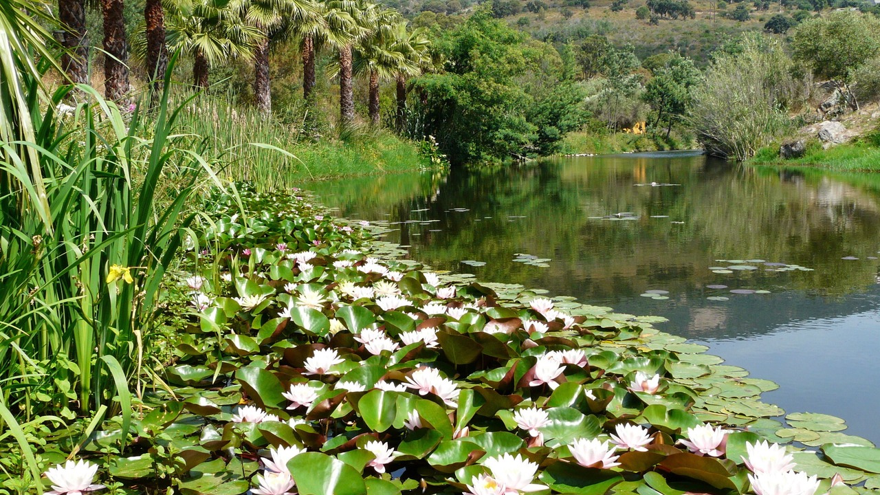 Photo of Outdoor in Bormes-Les-Mimosas