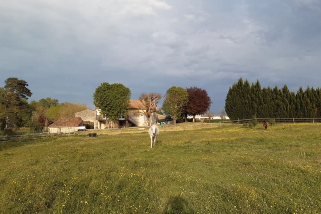 Photo of Others in Saint-Genis-de-Saintonge