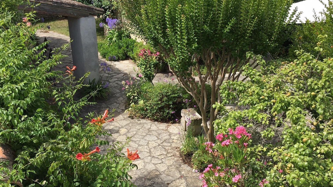 Photo of Outdoor in Saint-Clement-des-Baleines