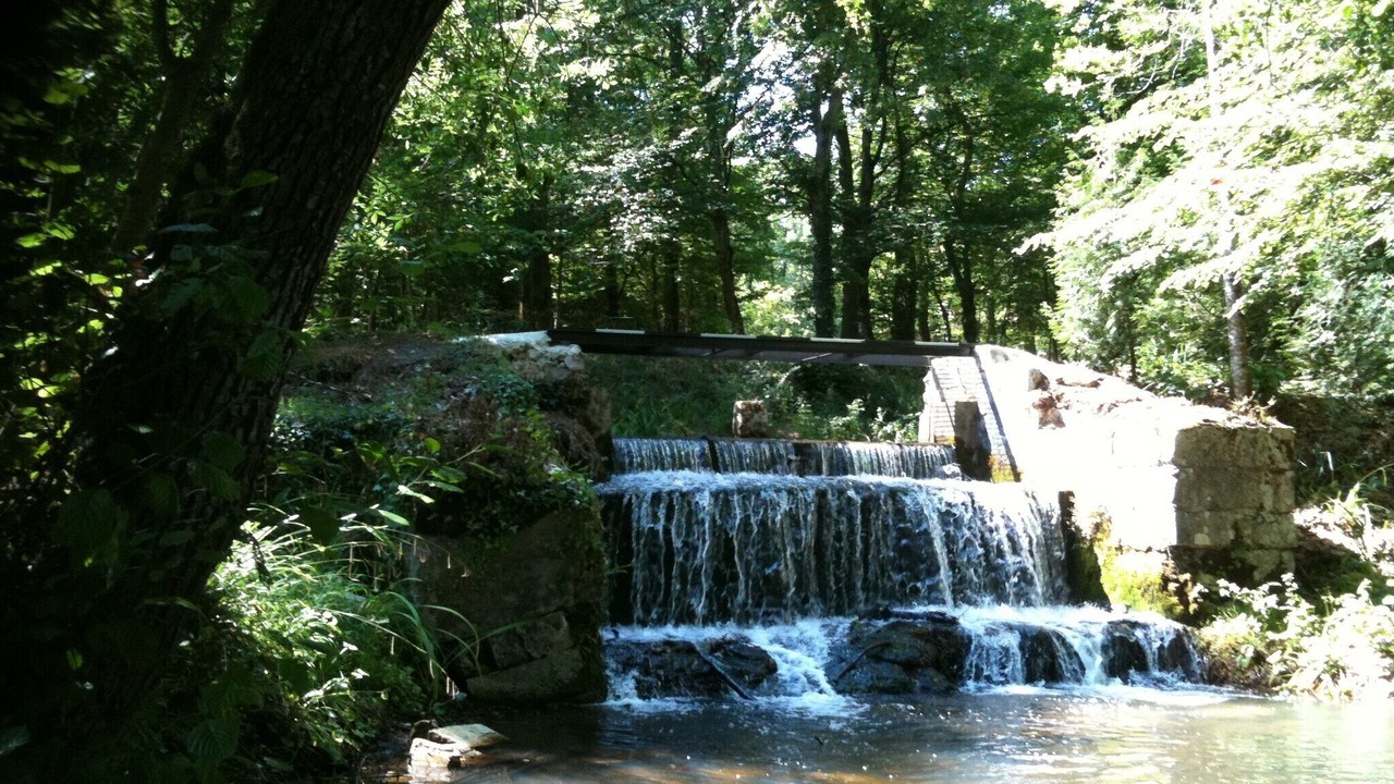 Photo of Outdoor in La Brede