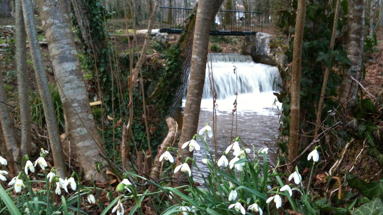 Photo of Outdoor in La Brede