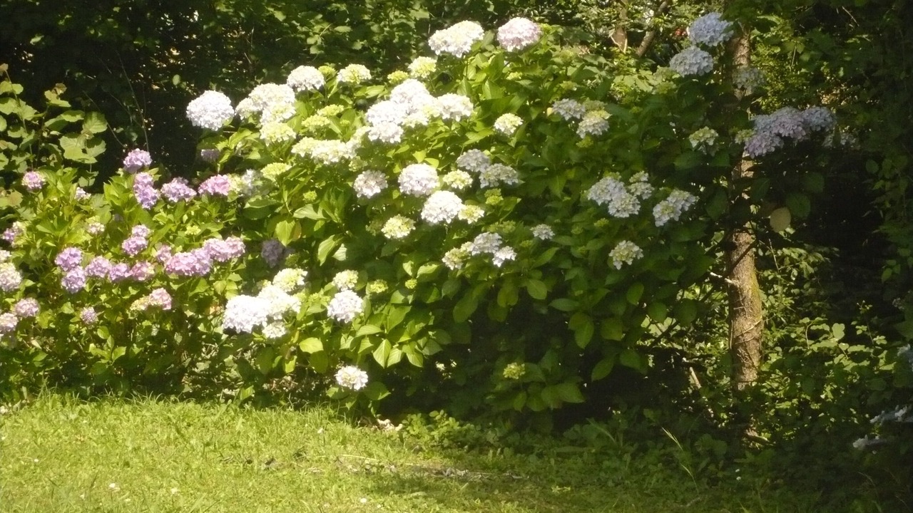 Photo of Outdoor in Arbonne