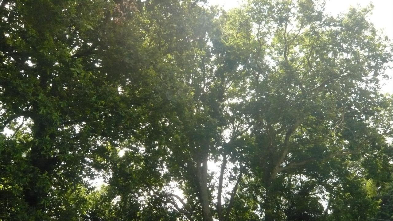 Photo of Outdoor in Arbonne