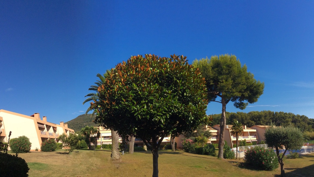 Photo of Outdoor in Le Pradet