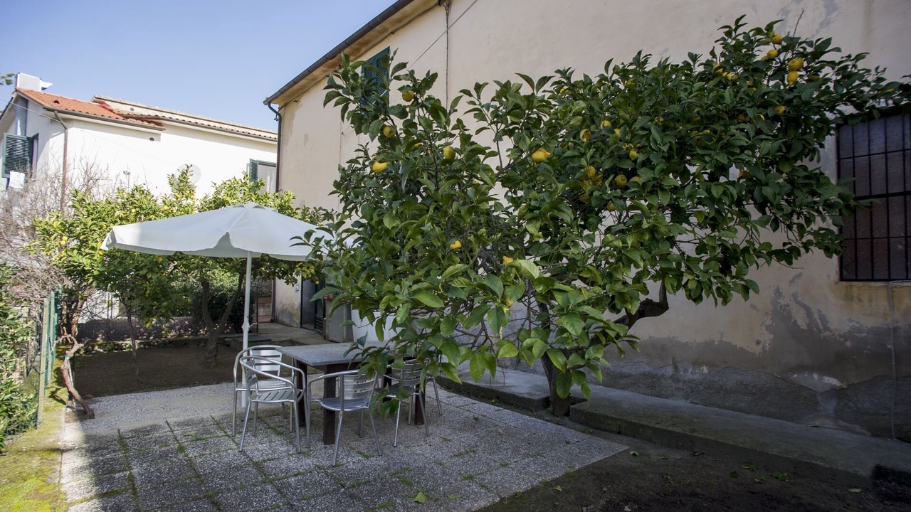 Photo of Outdoor in Procchio