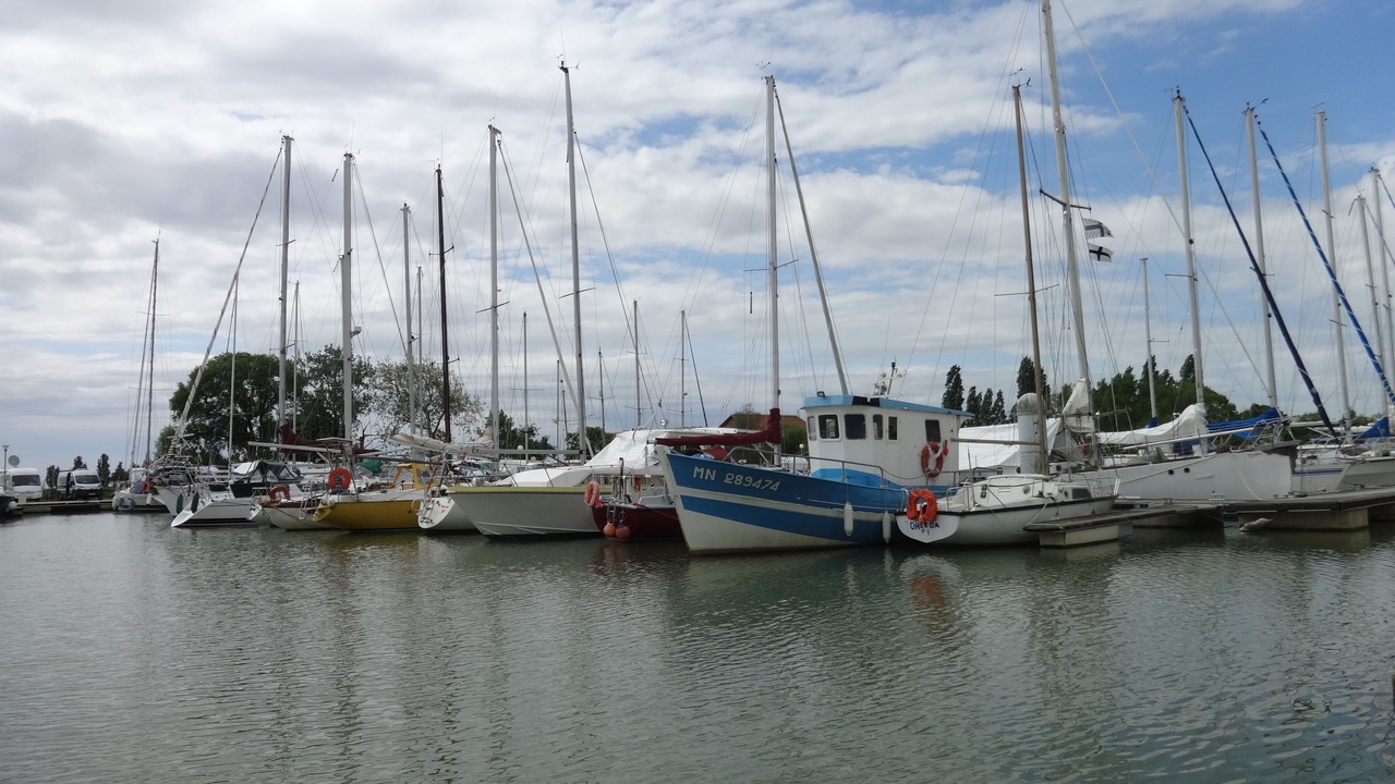 Photo of Others in Mortagne-sur-Gironde
