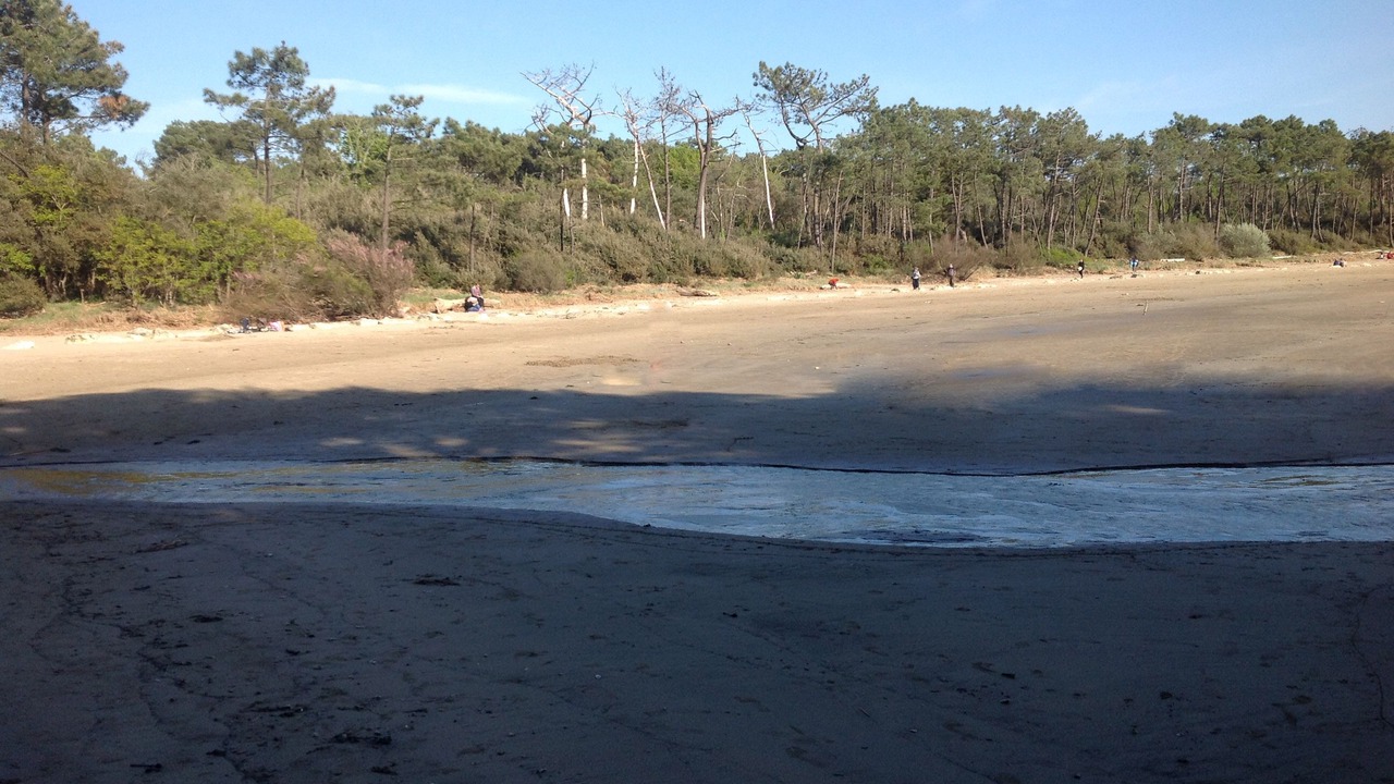 Photo of Others in Mortagne-sur-Gironde