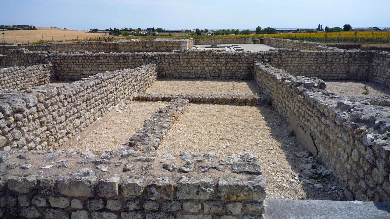Photo of Others in Mortagne-sur-Gironde