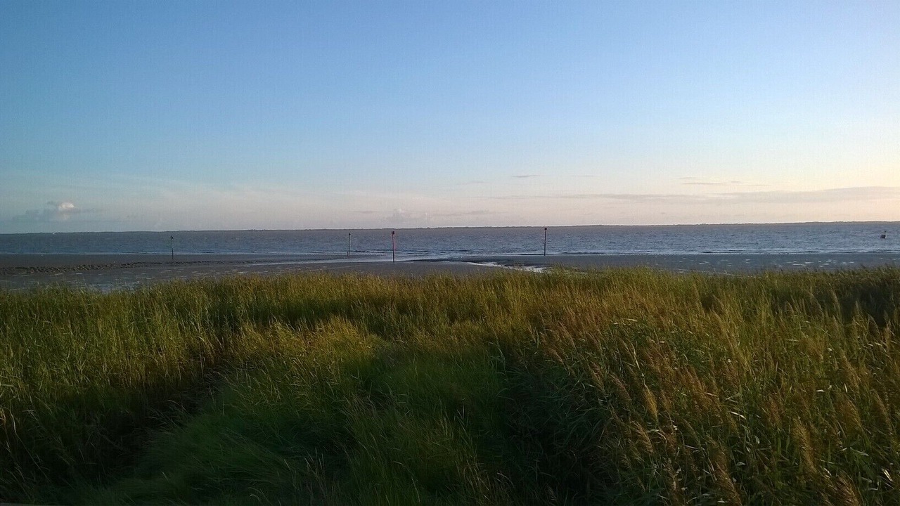 Photo of Others in Mortagne-sur-Gironde