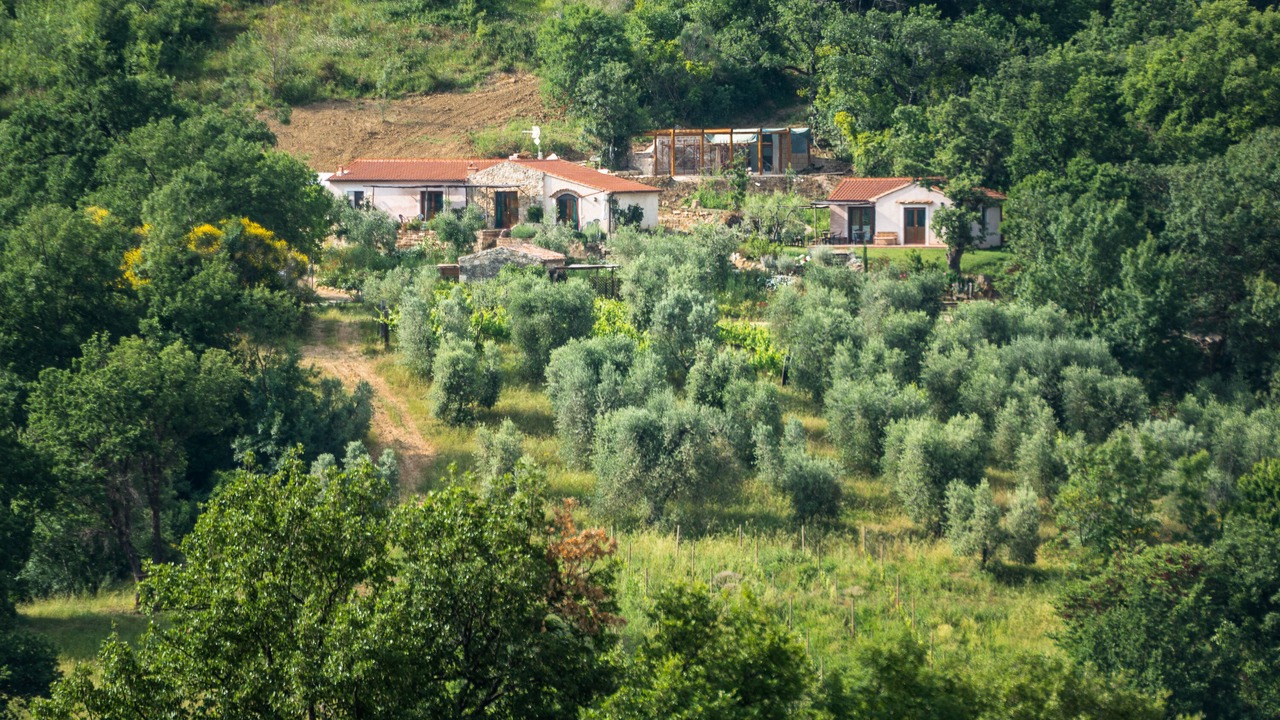 Photo of Outdoor in Saturnia