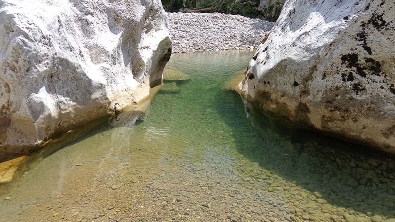 Photo of Others in Saturnia