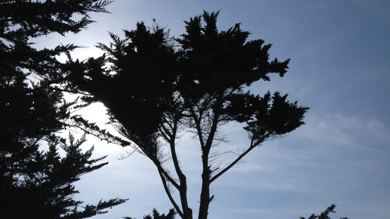 Photo of Outdoor in Sainte-Marie-de-Re