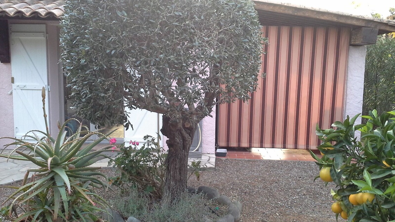 Photo of Outdoor in Le Dramont