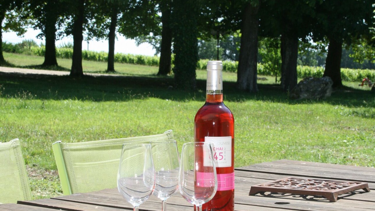 Photo of Outdoor in Saint-Andre-de-Cubzac