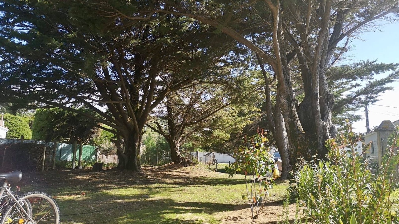 Photo of Outdoor in Domino