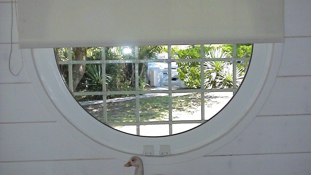Photo of Others in Pyla-sur-Mer