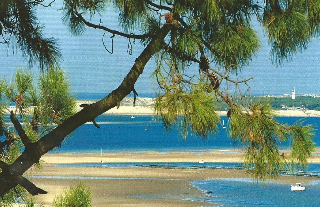 Photo of Others in Pyla-sur-Mer