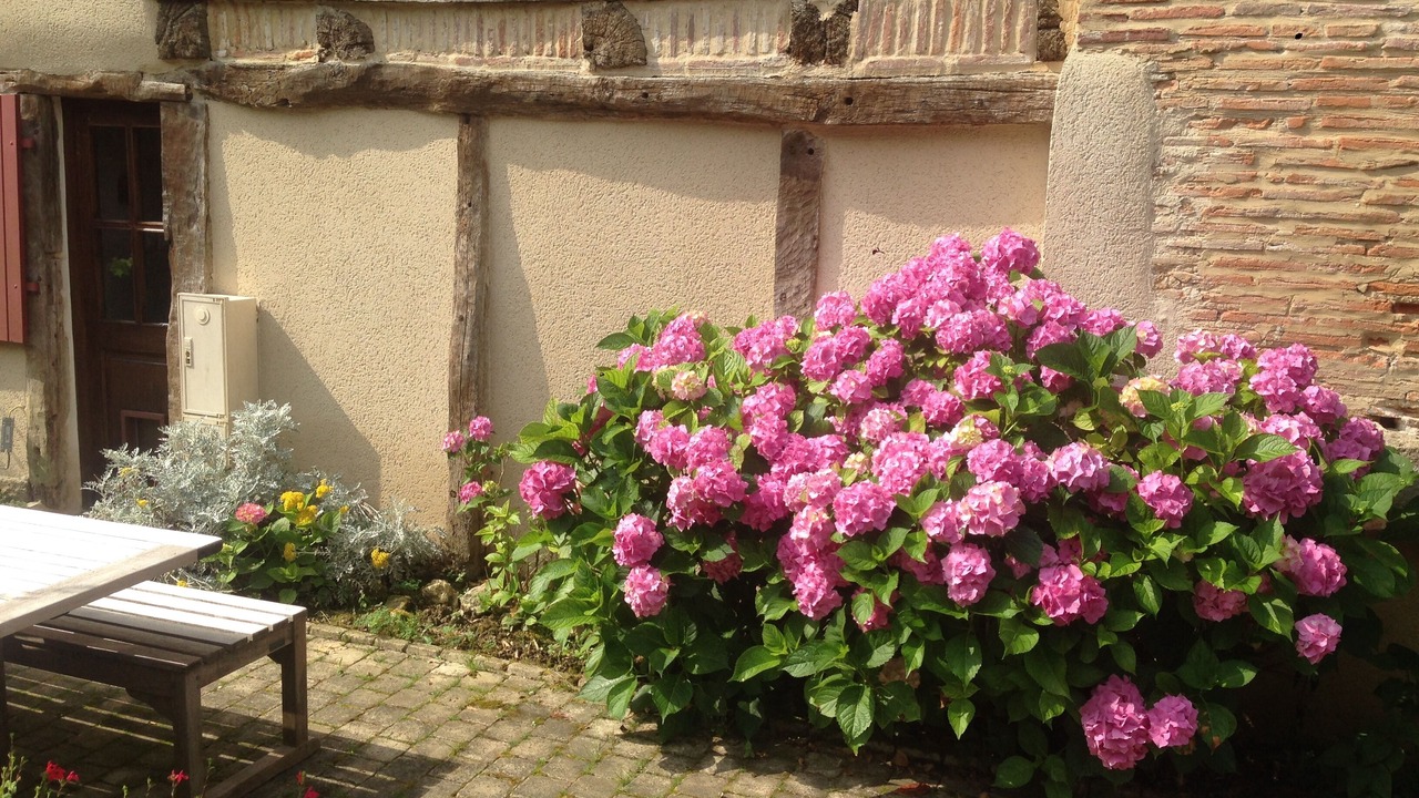 Photo of Outdoor in Labastide-dArmagnac