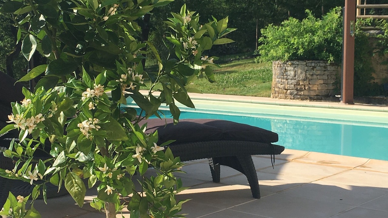 Photo of Outdoor in Cenac-et-Saint-Julien