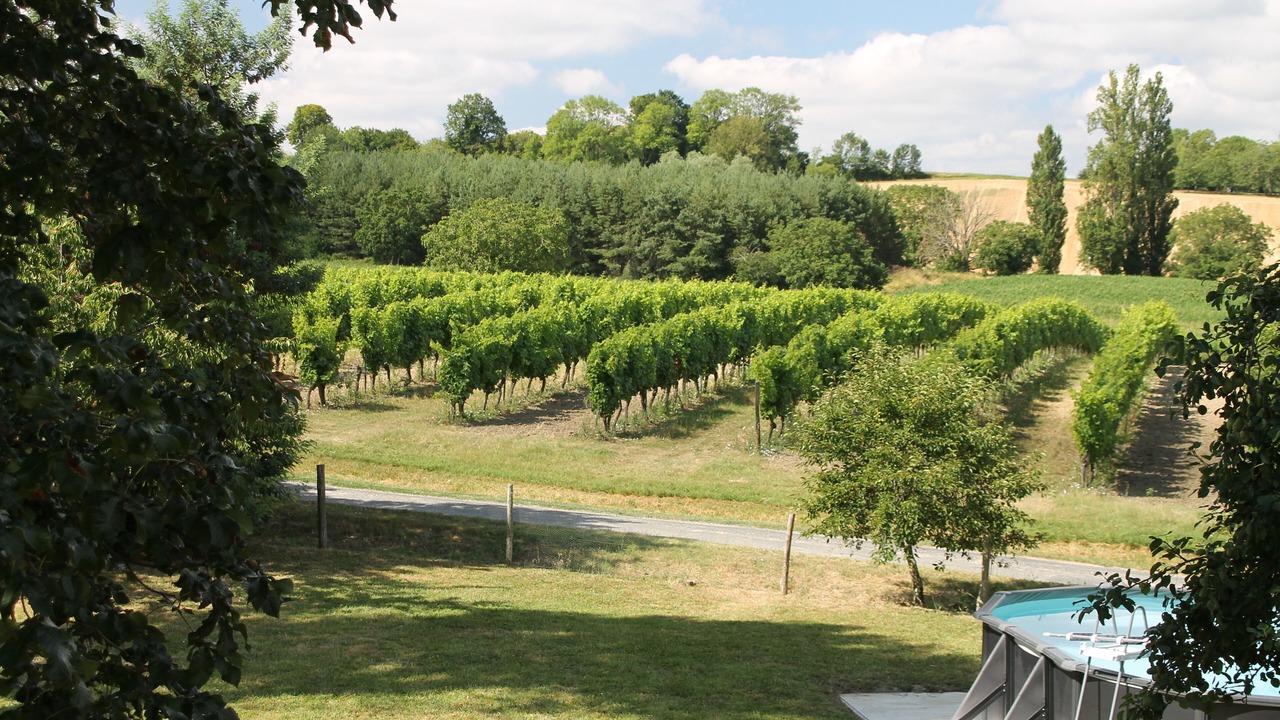 Photo of Outdoor in Puyguilhem