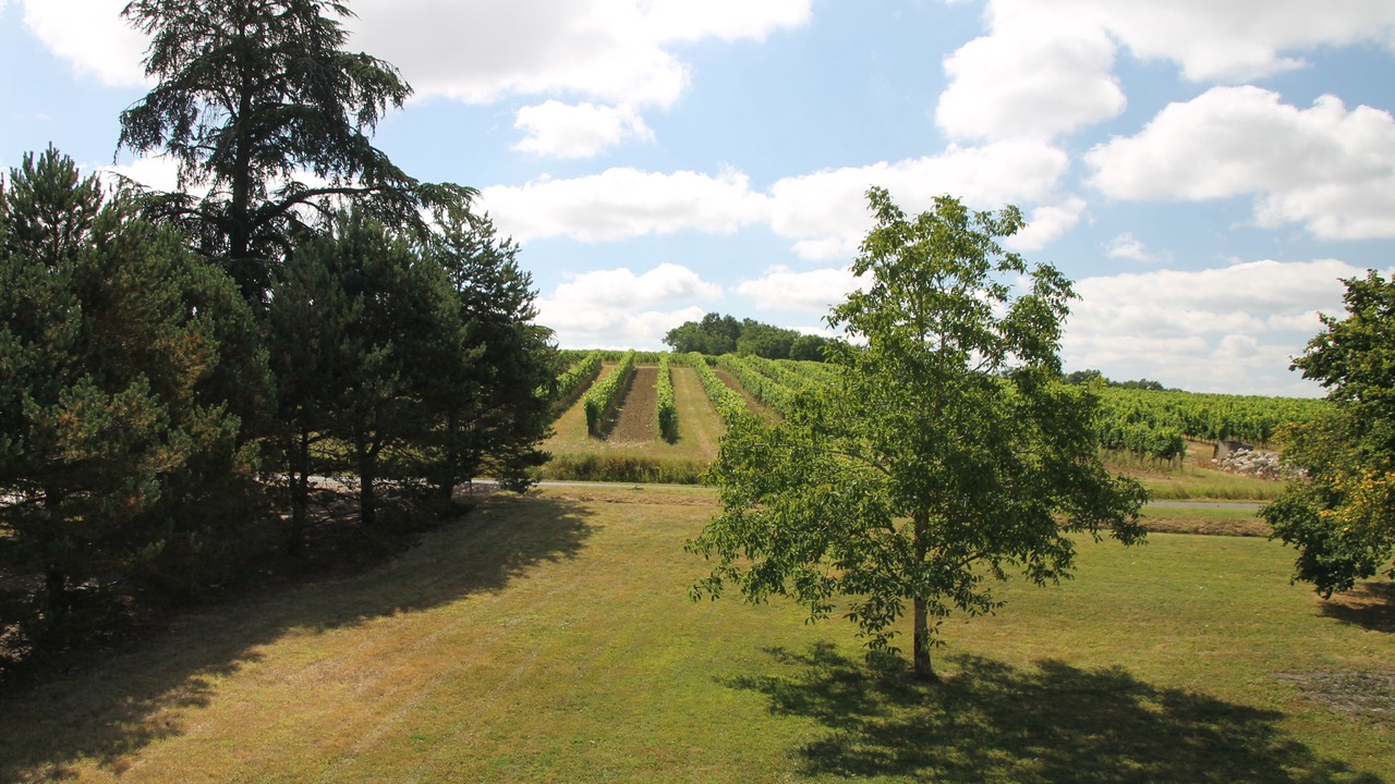 Photo of Outdoor in Puyguilhem