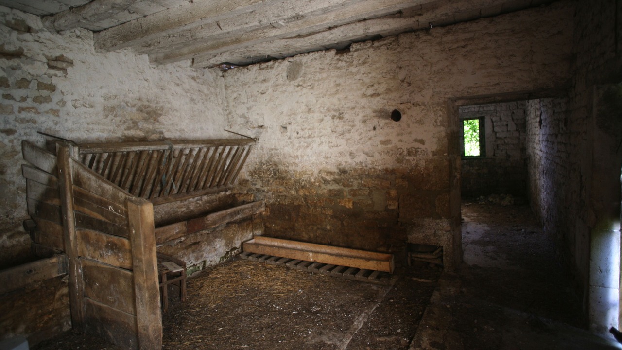 Photo of Others in Saint-Martin-les-Melle